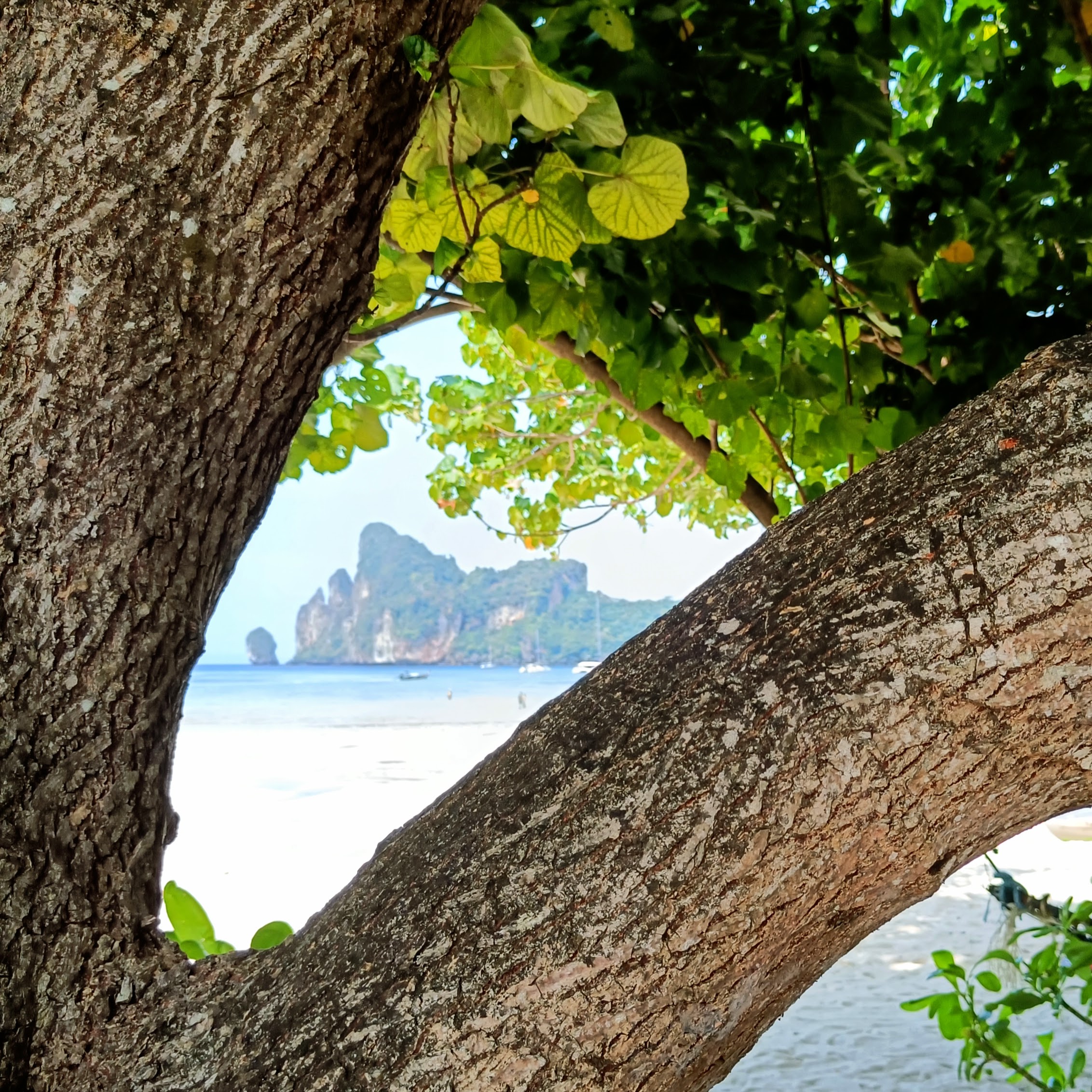 Tropical Phi Phi island cliffs