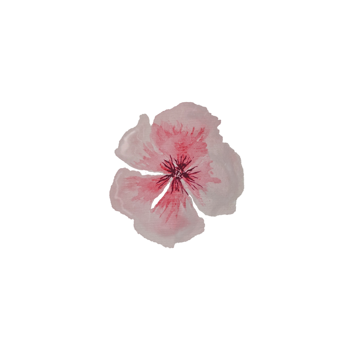 Decorative pink hibiscus cluster